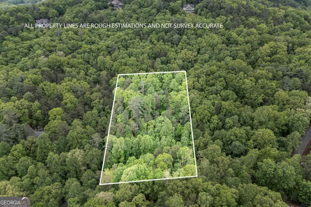 LOT 17 Lower Gap Road - Photo 1