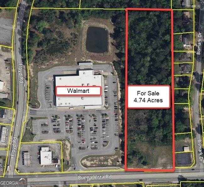 4935 Buena Vista Road - Photo 1