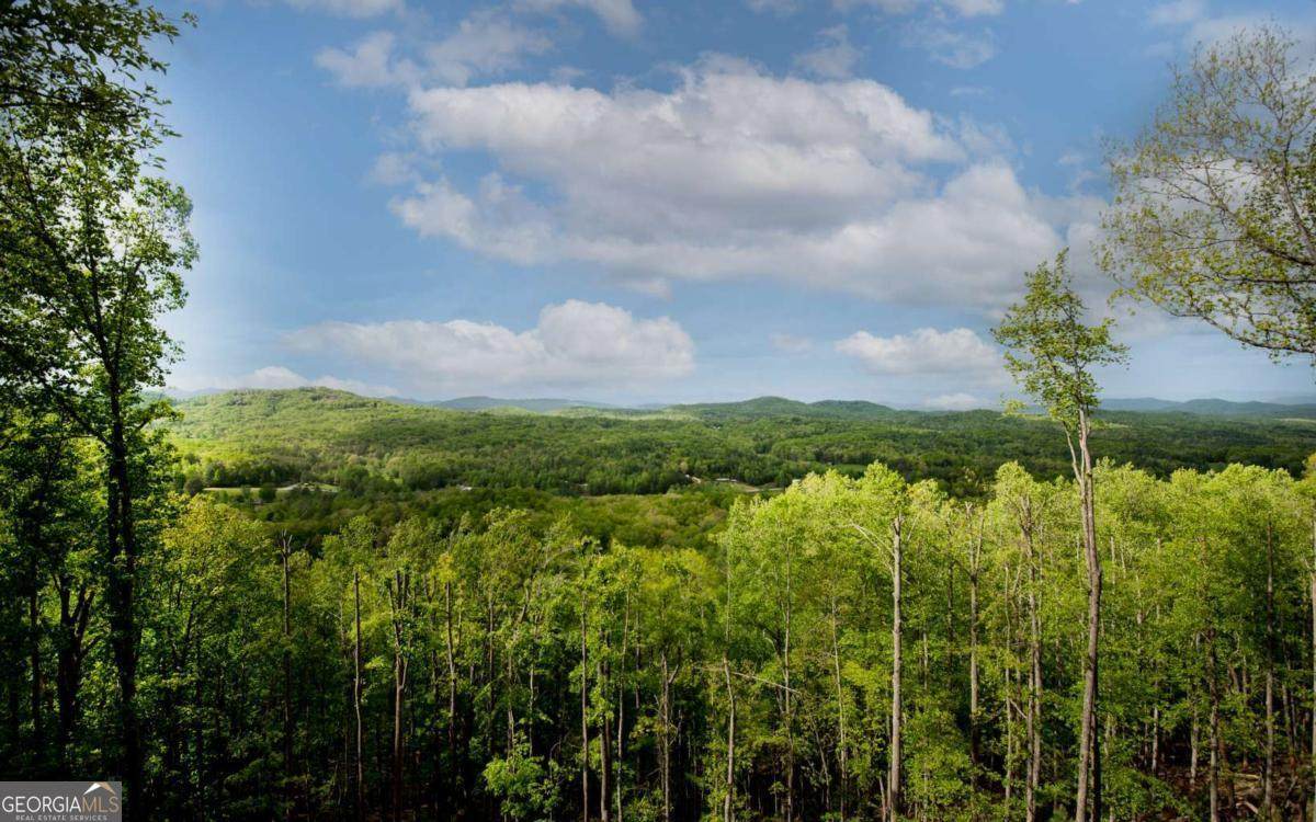 LOT 25 Scouts Overlook - Photo 1