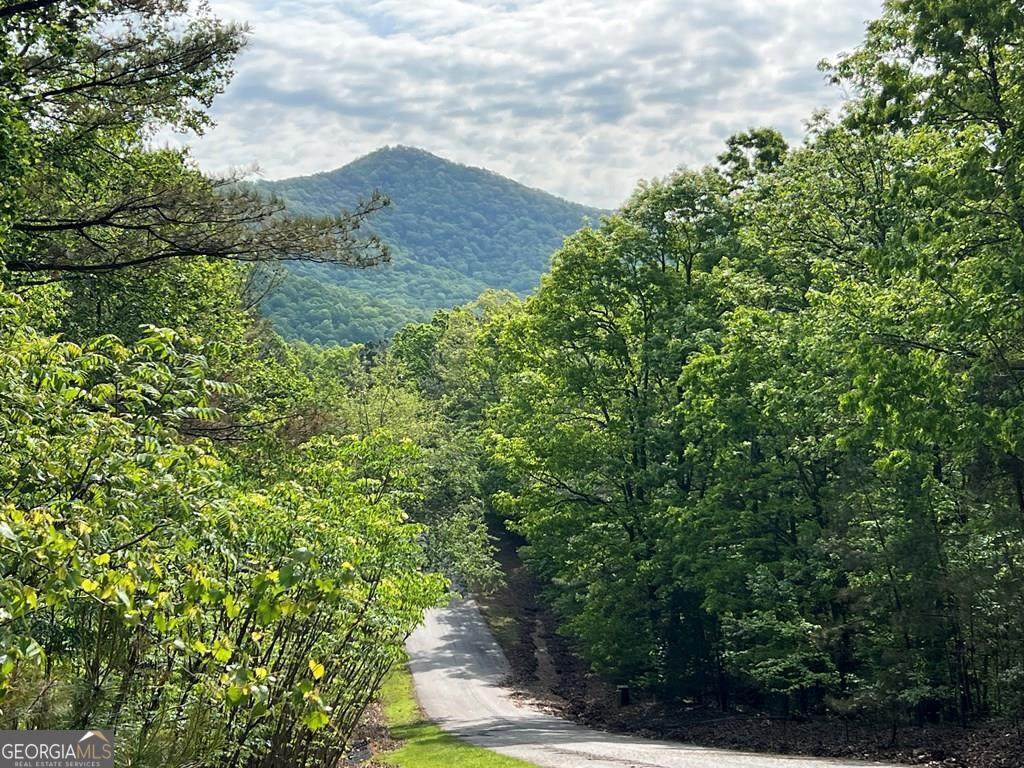 LOT 25 Loftis Mountain - Photo 1