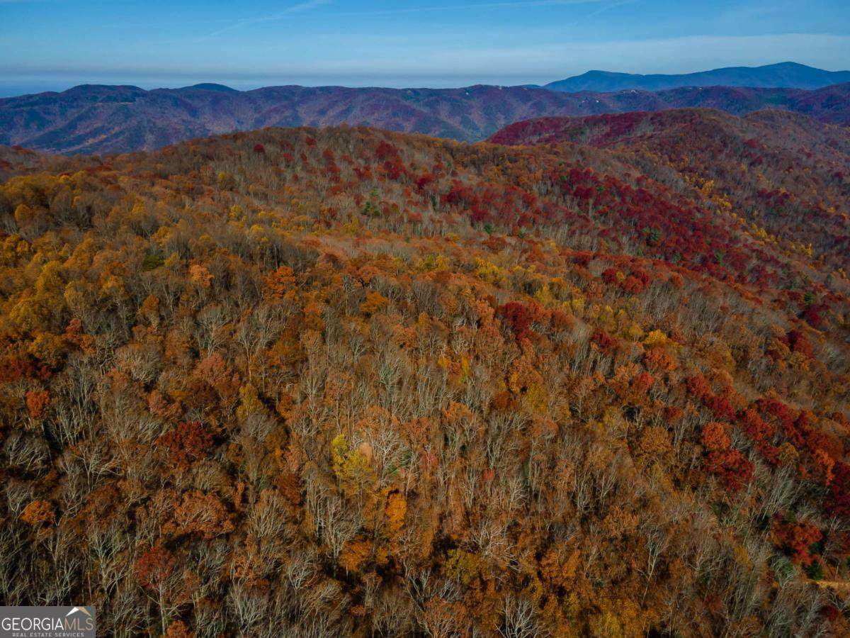 36 Utana Bluffs Trail - Photo 1