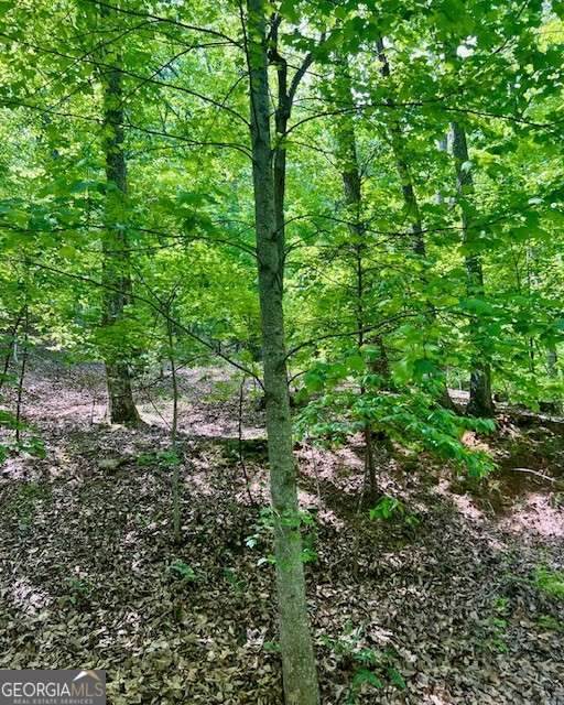 220 Yanegwa Knoll - Photo 1