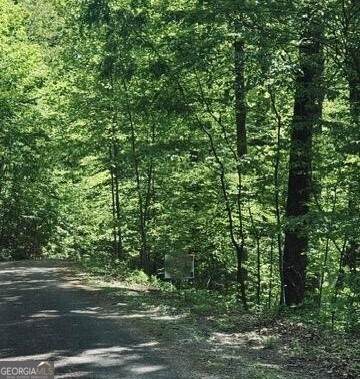 409 & 411 Barefoot Rise - Photo 1