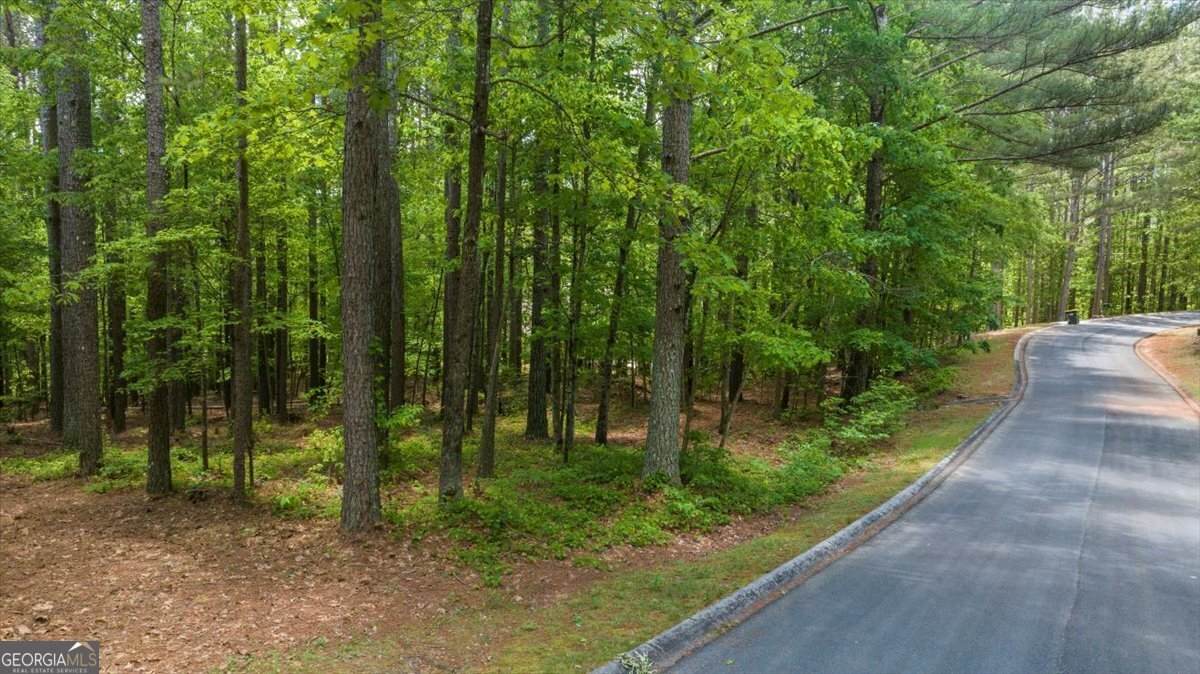 0 Golden Delicious Road - Photo 1