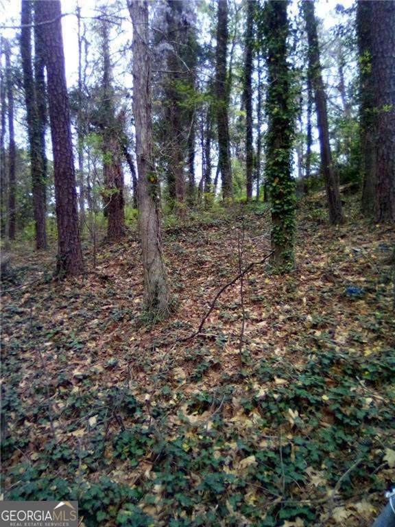 0 Landrum Drive - Photo 1