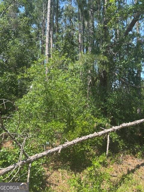 0 Stoney Brook Way - Photo 1