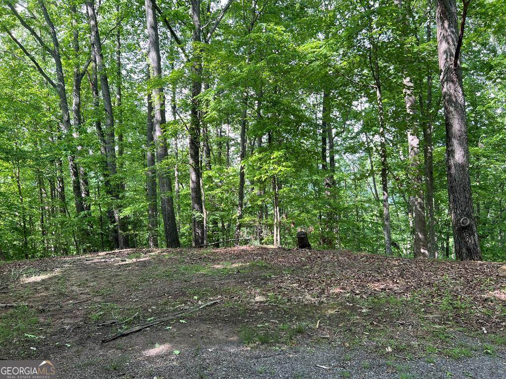 LOT 26 Longview Drive - Photo 1