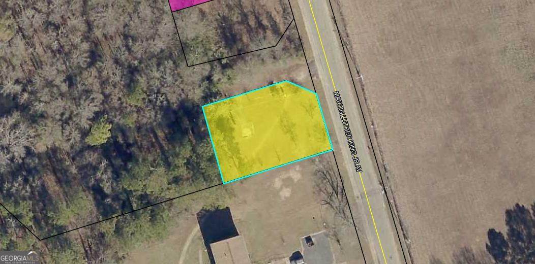 704 Mlk Jr Avenue - Photo 1