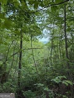 LOT SM4 Raven Fork Trail - Photo 1