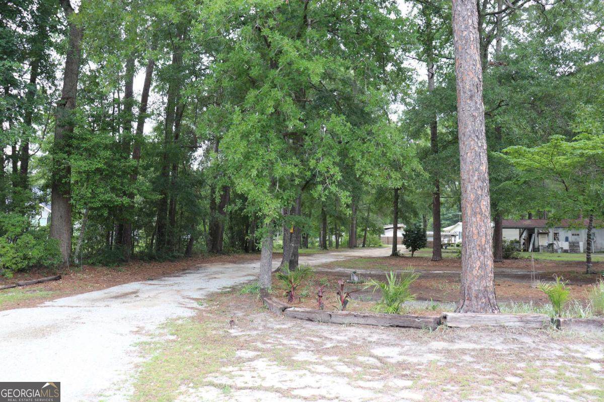385 Old Augusta Road - Photo 1