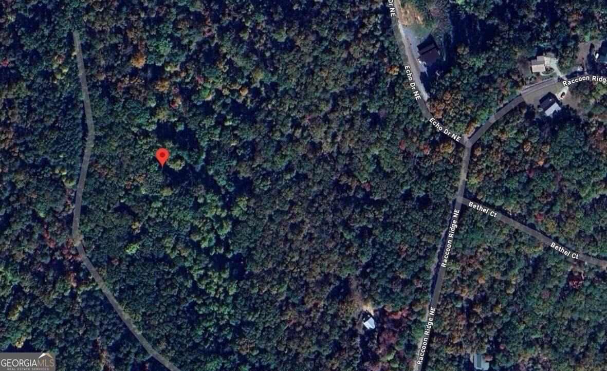 1009 Cut Drive - Photo 1