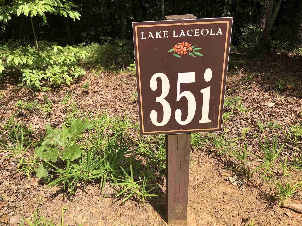 0 Forked Leaf Road - Photo 1