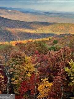 LOT 03 Upper Sassafras Parkway - Photo 1