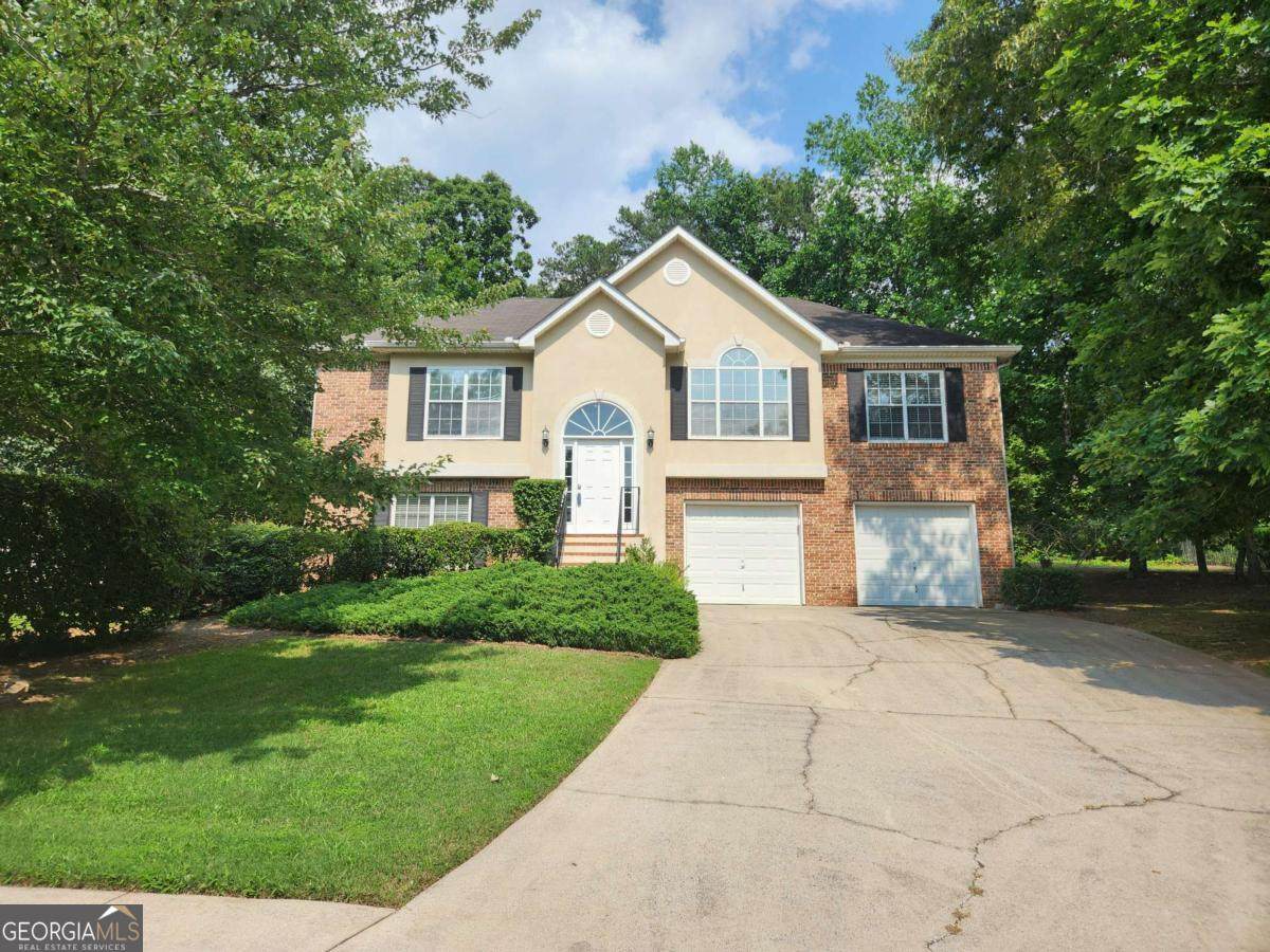 5619 Wandering Vine Lane - Photo 1