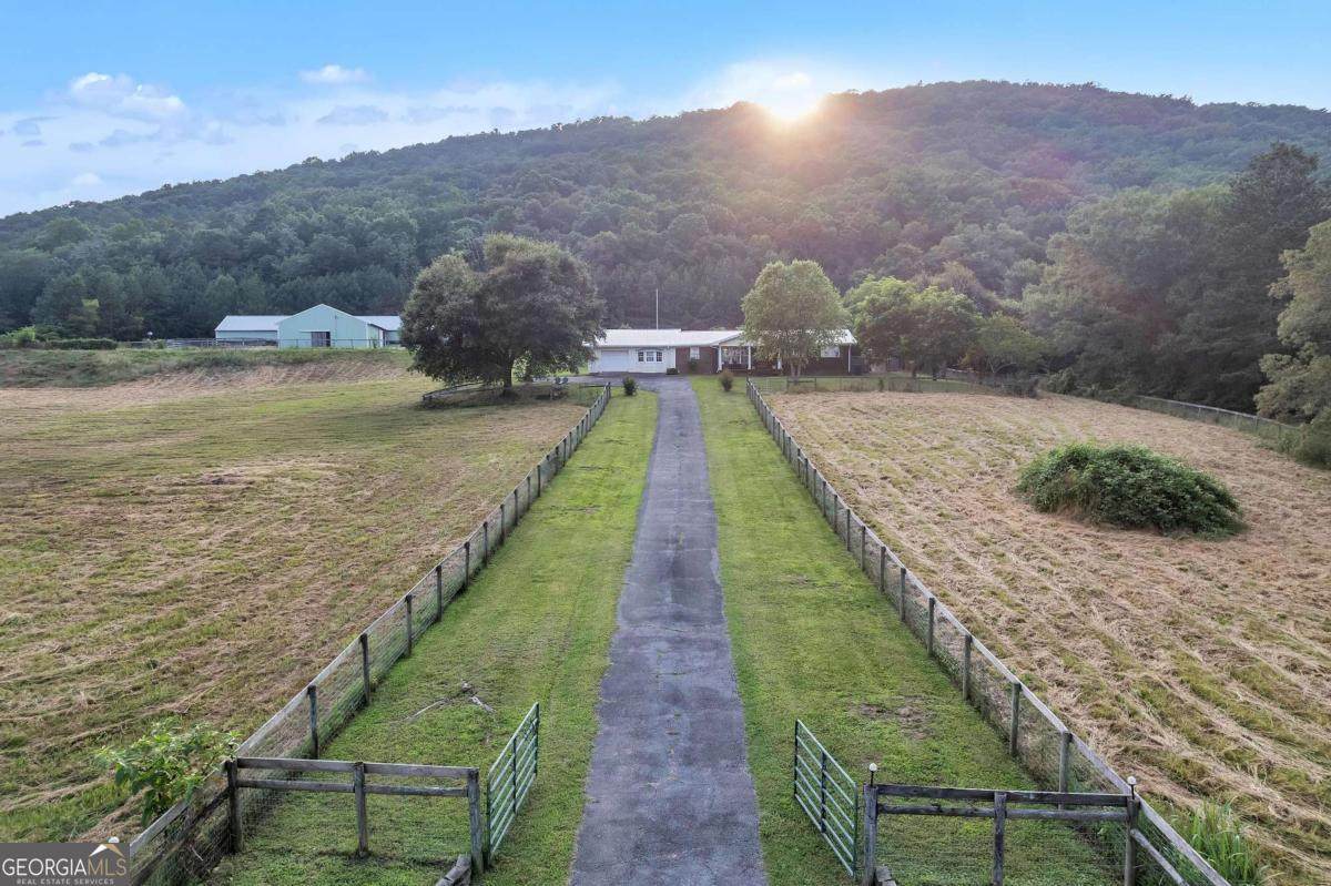 955 Baugh Mountain Road - Photo 1