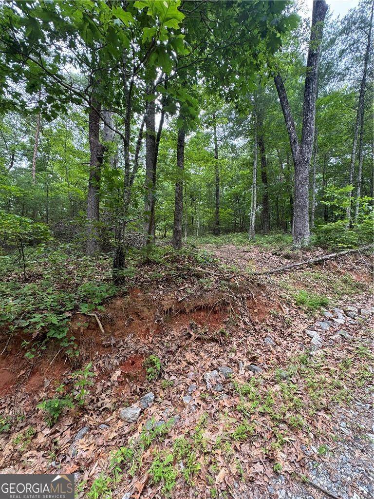 0 Nimblewill Creek Road - Photo 1