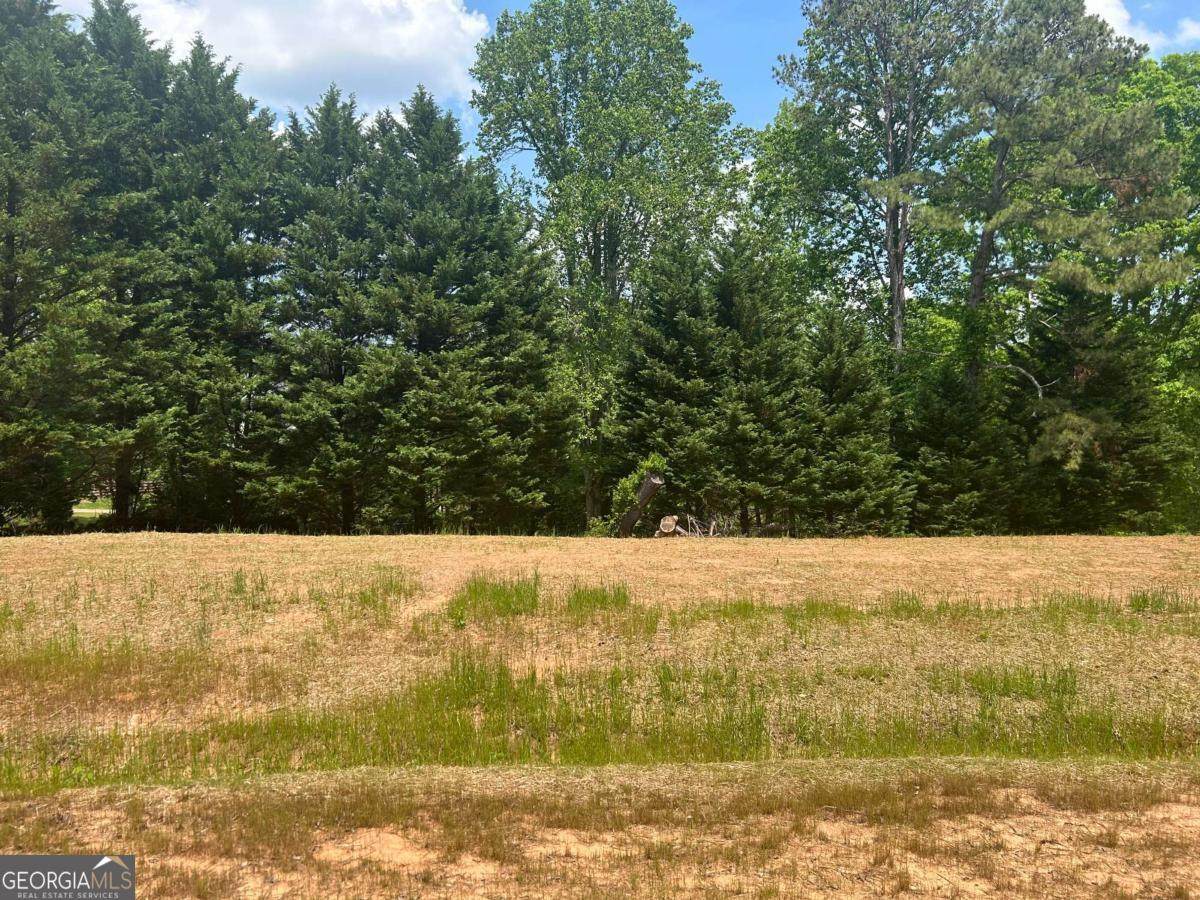 210 Thompson Trail - Photo 1