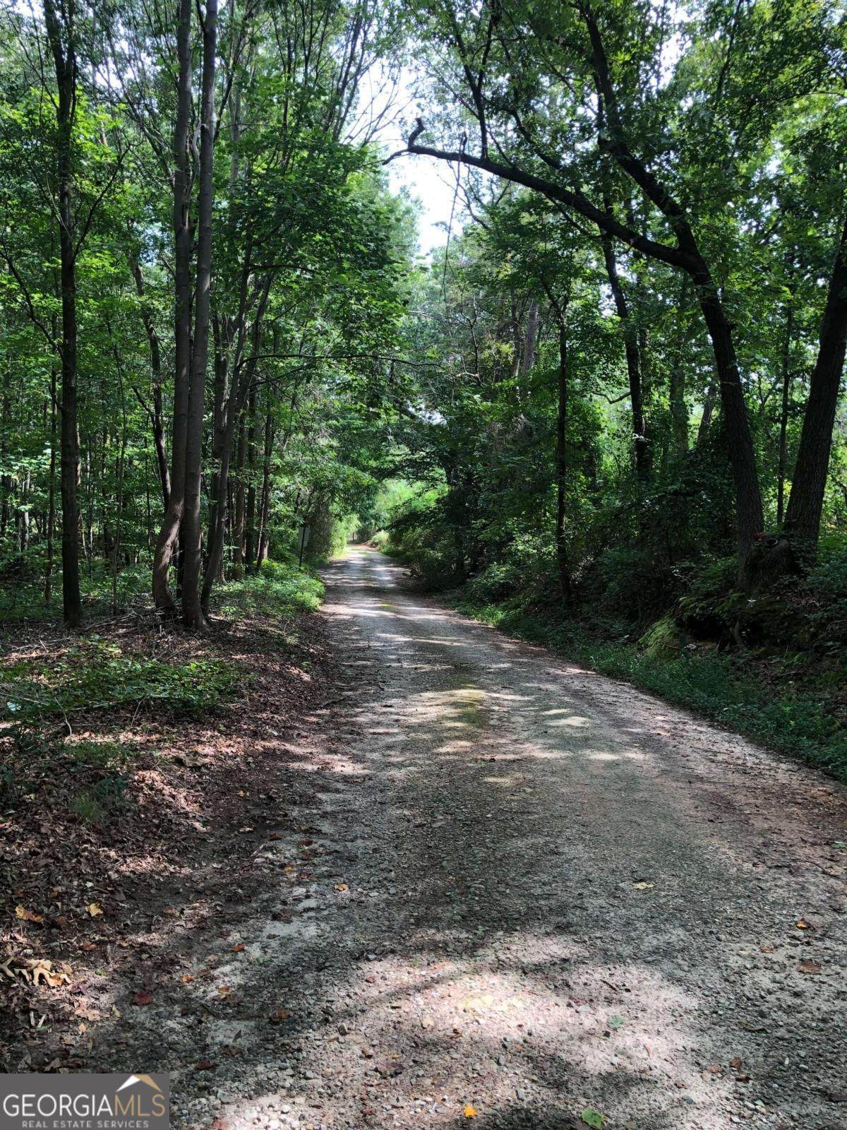 209 Alice Moss Lane - Photo 1