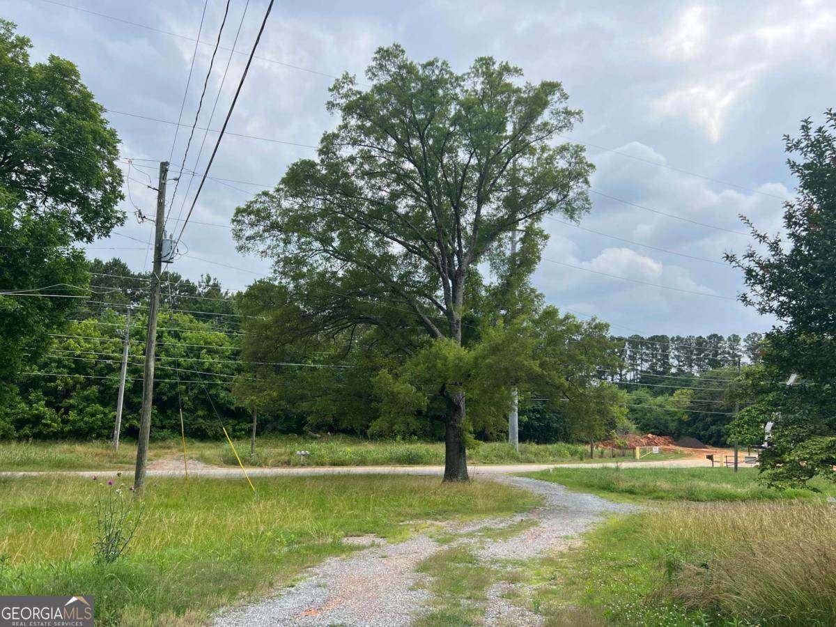 101 Cass Pine Log Road - Photo 1