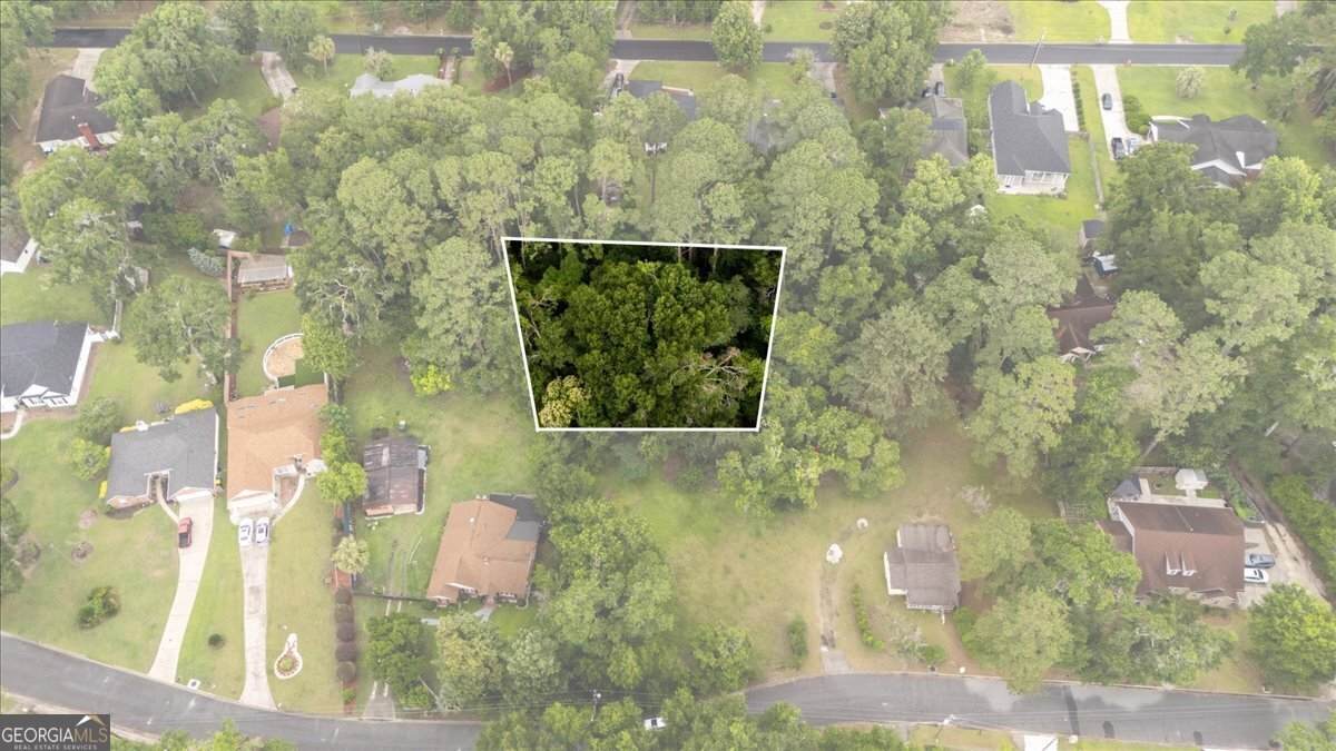 0 Coffee Bluff Villa Road - Photo 1