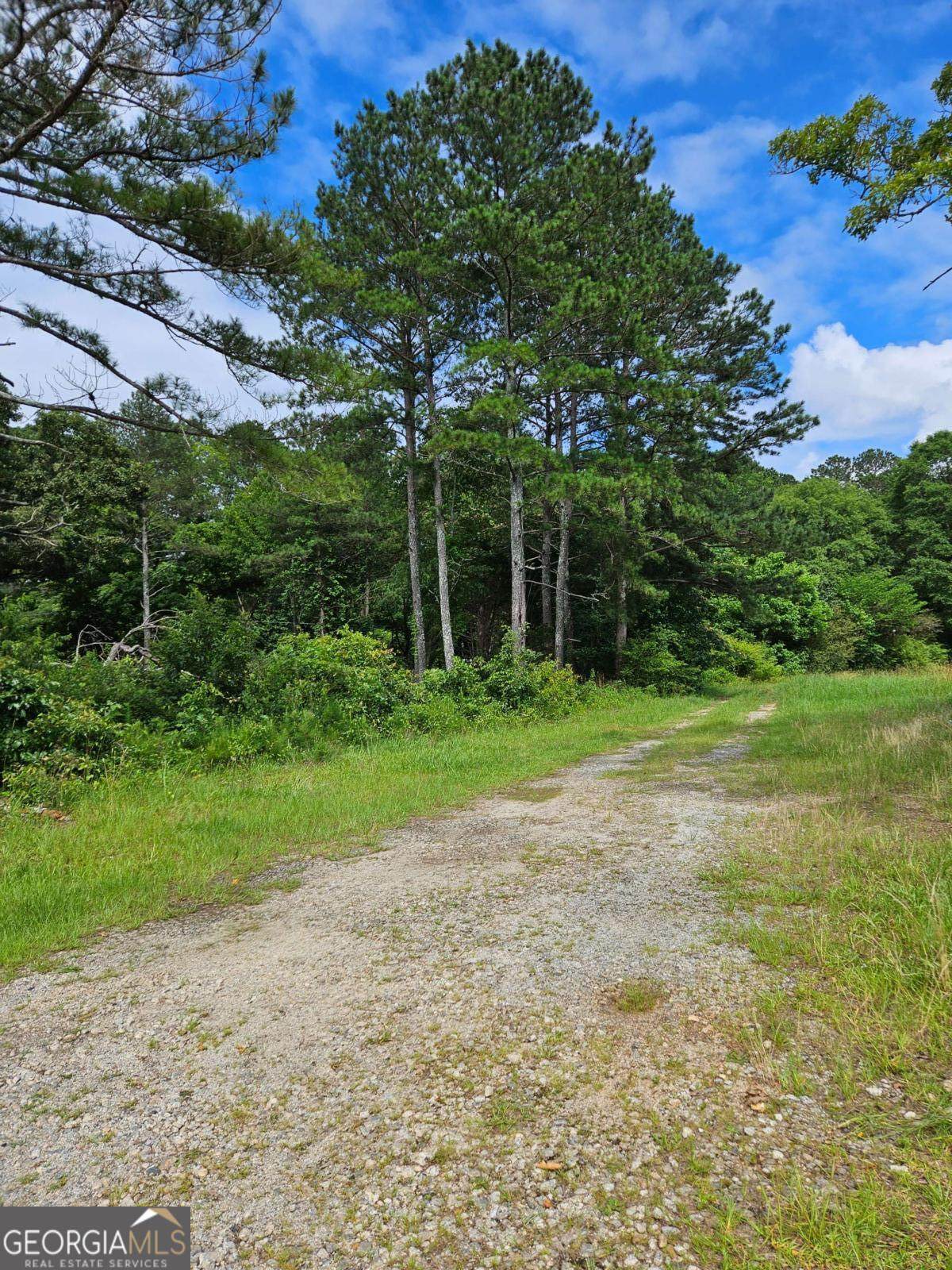 2539 Locust Grove Road - Photo 1