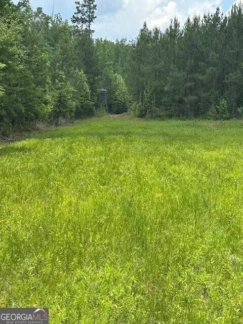 0 Jordan Road - Photo 1
