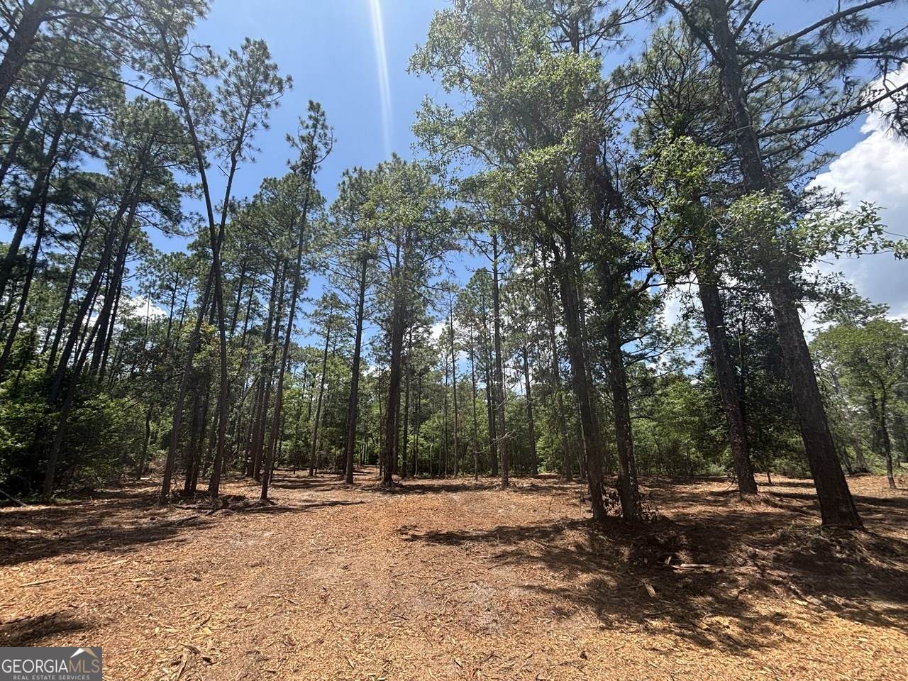 1 Longleaf Estates Road - Photo 1
