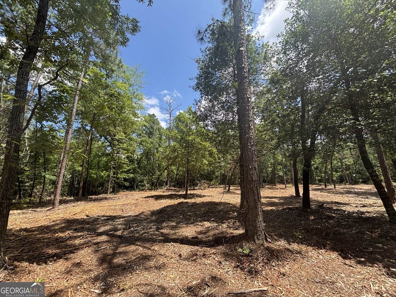2 Long Leaf Estates - Photo 1