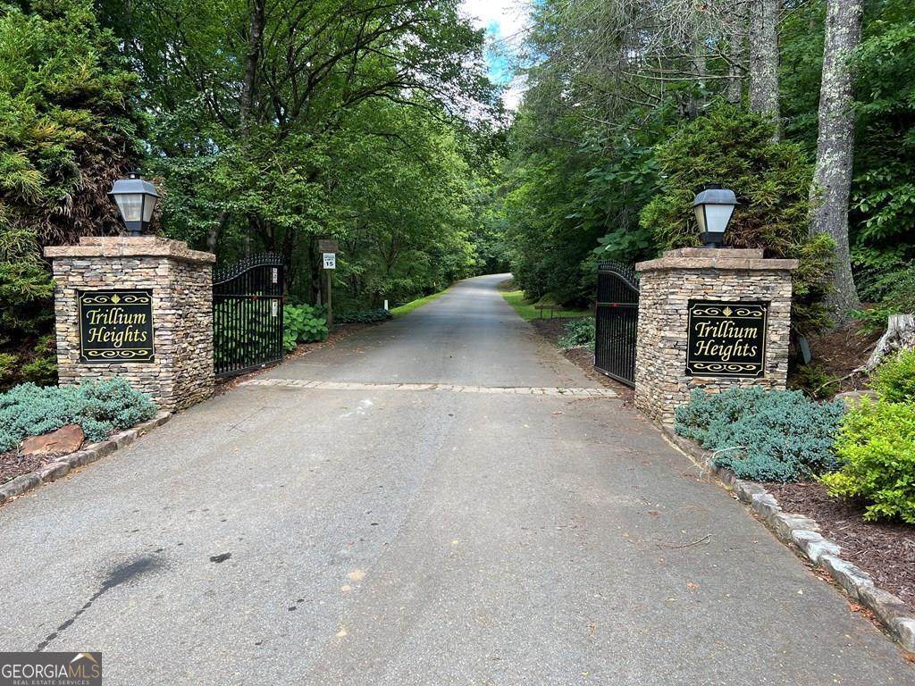 LOT 10 Trillium Heights - Photo 1