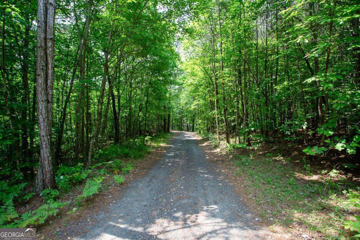 6480 Highway 52 - Photo 1