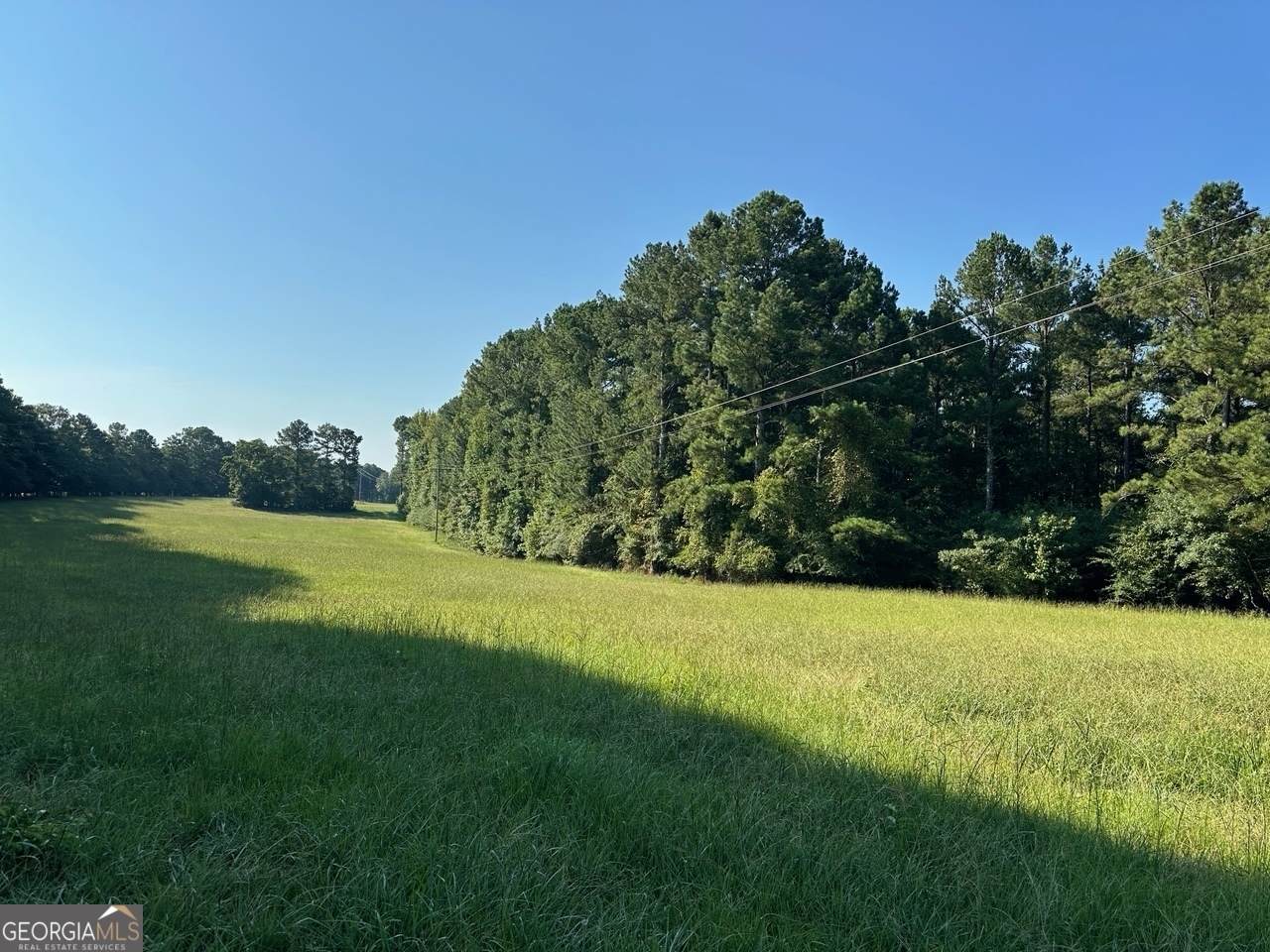 1661 Walker Church Road - Photo 1