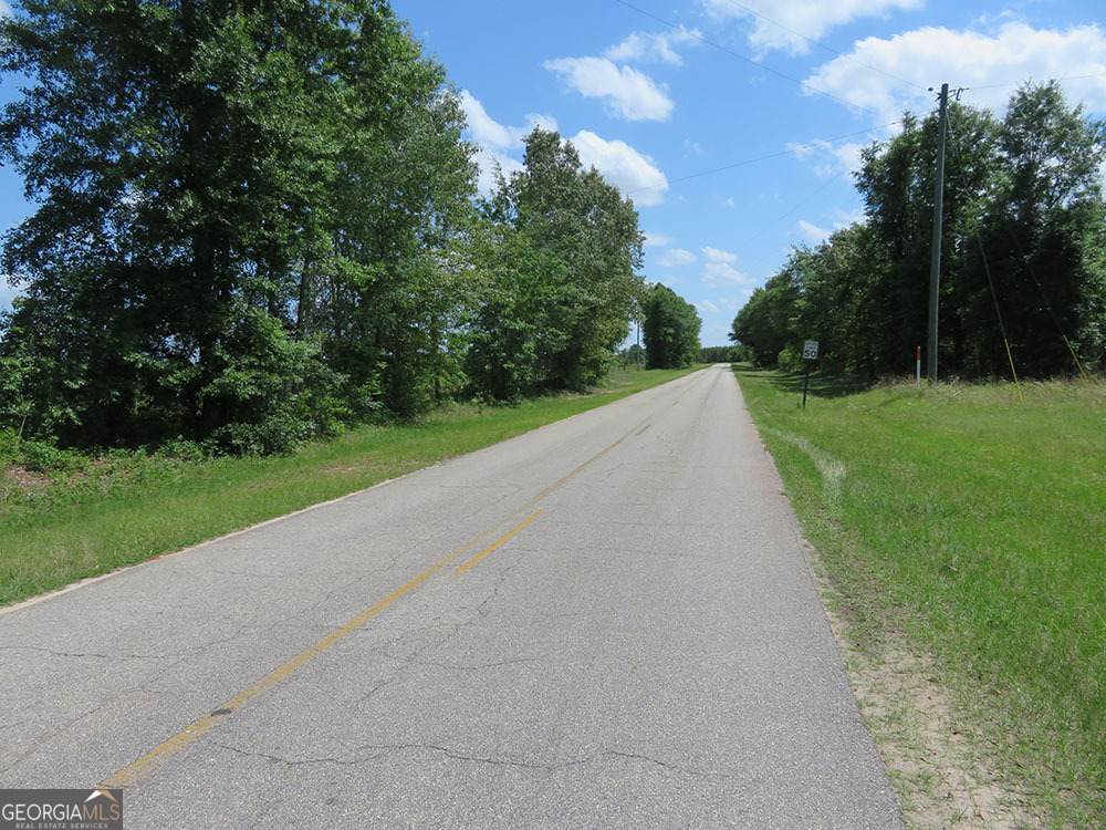 0 Goolsby Road - Photo 1
