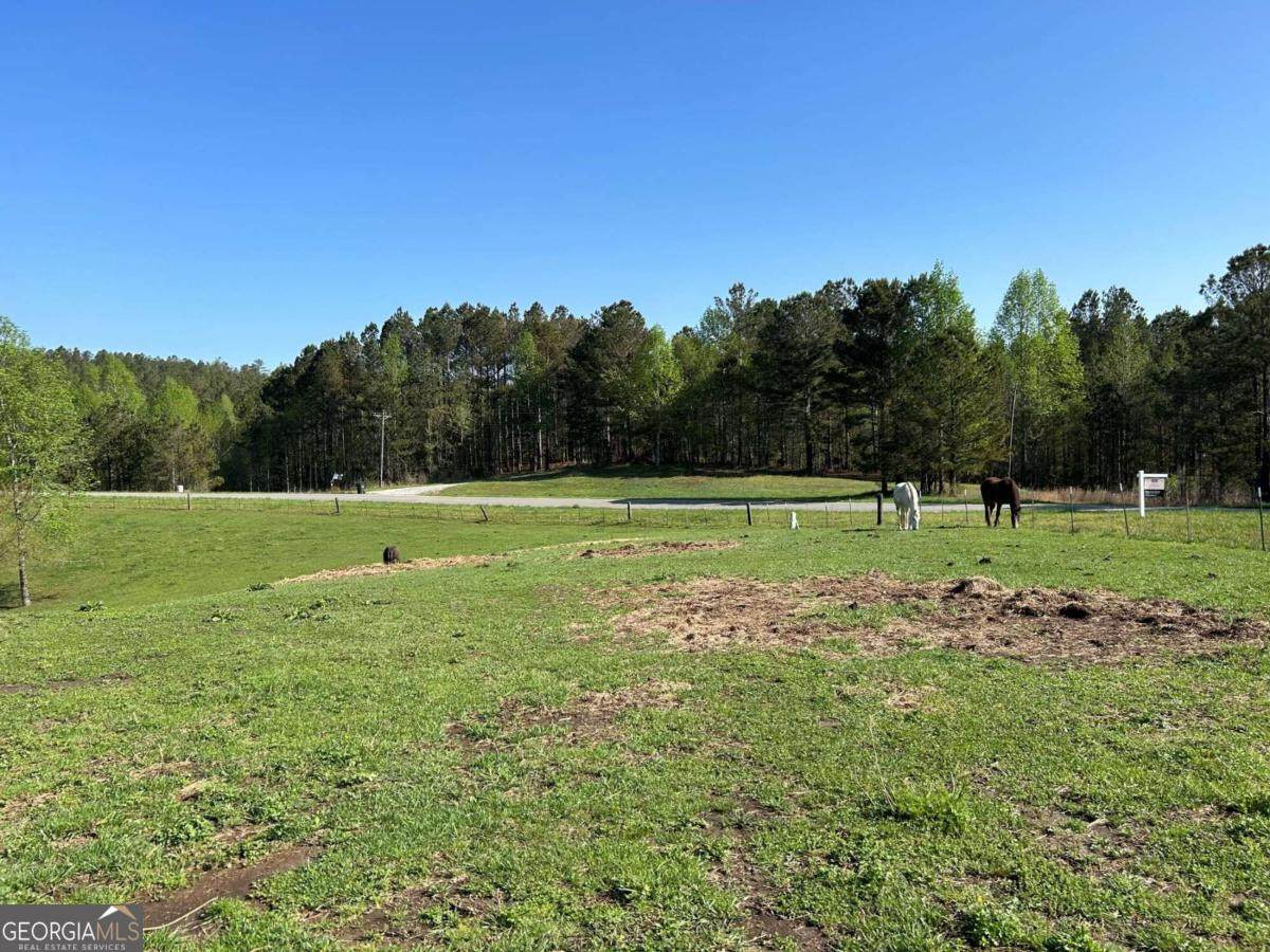 4-ACRE Garland Mountain Trail - Photo 1