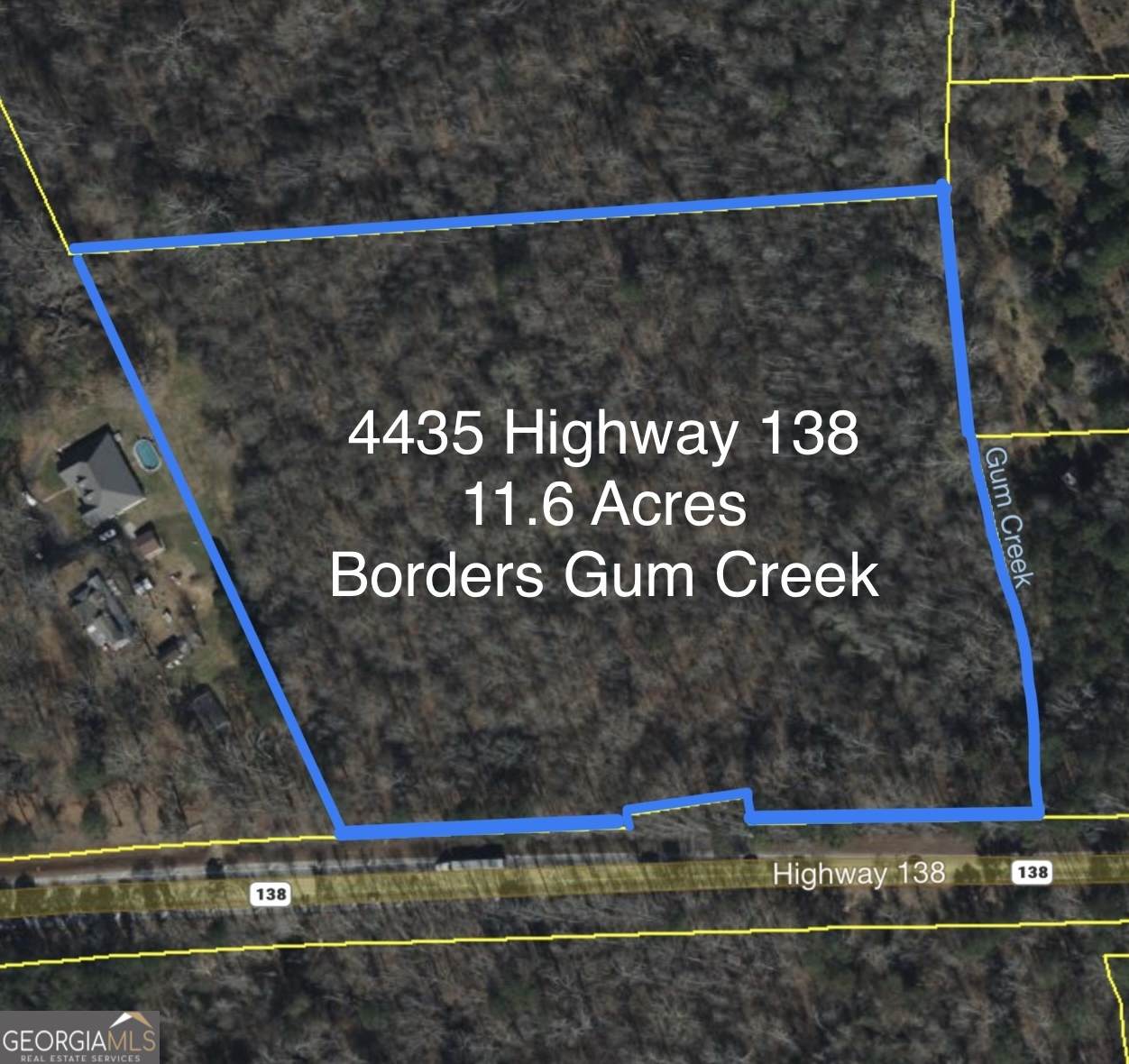 4435 Highway 138 - Photo 1