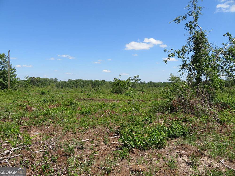 2 Goolsby Road - Photo 1