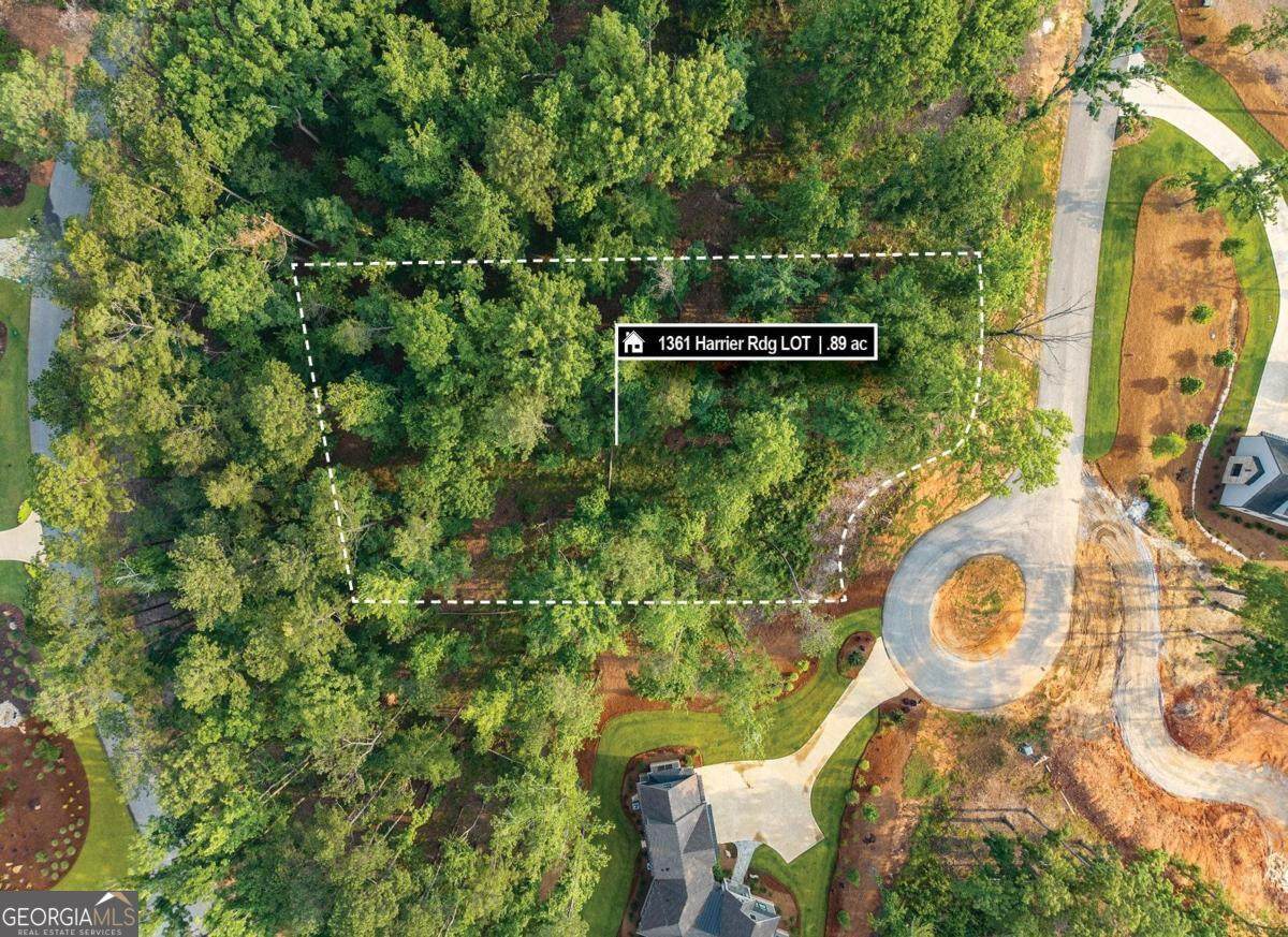 1361 Harrier Ridge - Photo 1