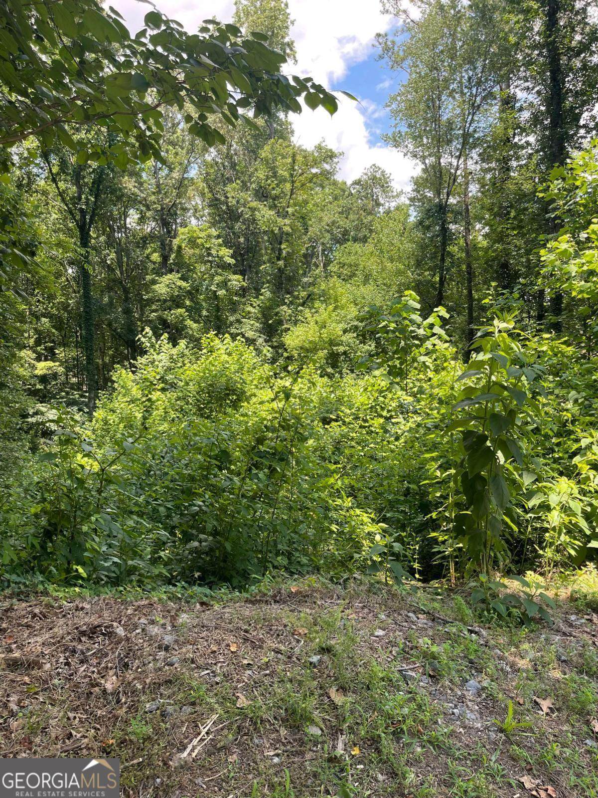 609 Ann Court - Photo 1