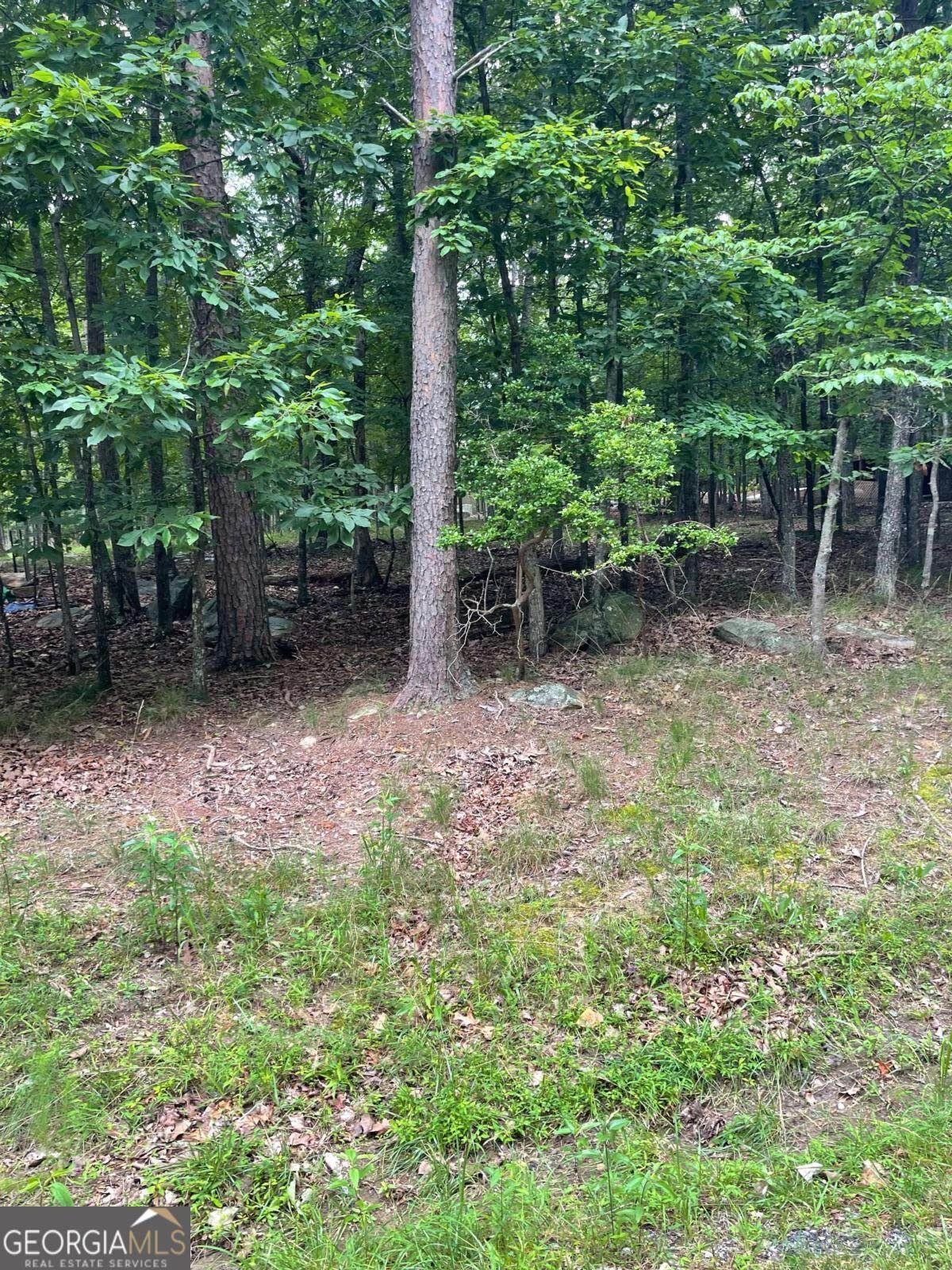 133 Pawnee Street - Photo 1