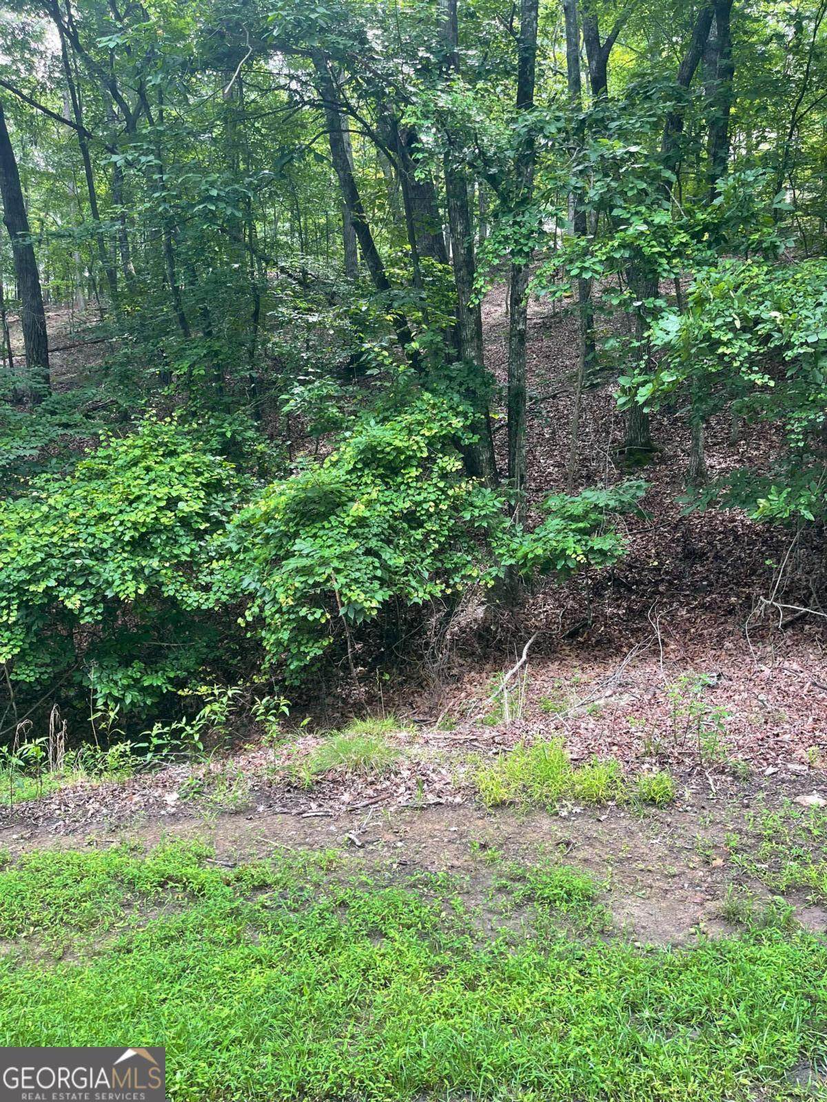 118 Morning Star Drive - Photo 1