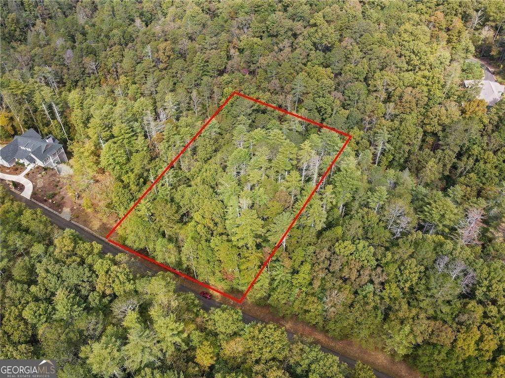 0 Trout Line Court - Photo 1