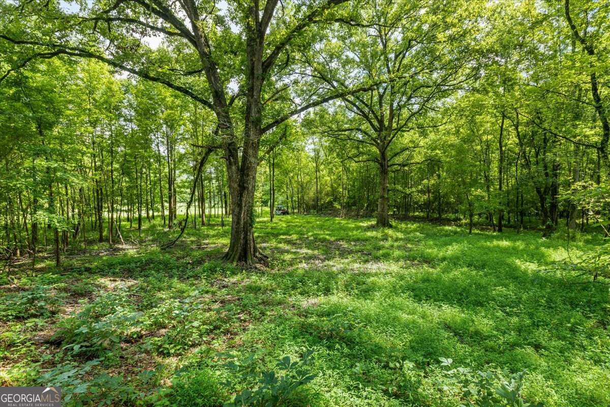 0 Creekview Drive - Photo 1