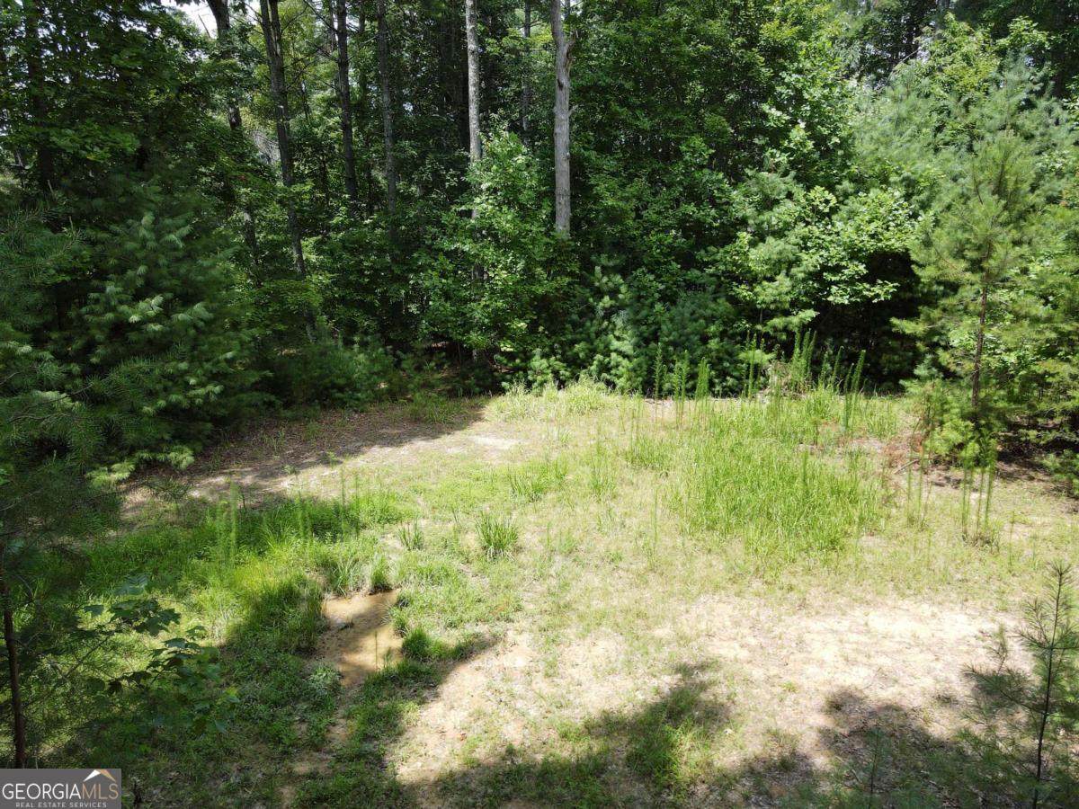LOT 4 Scouts Overlook Lane - Photo 1