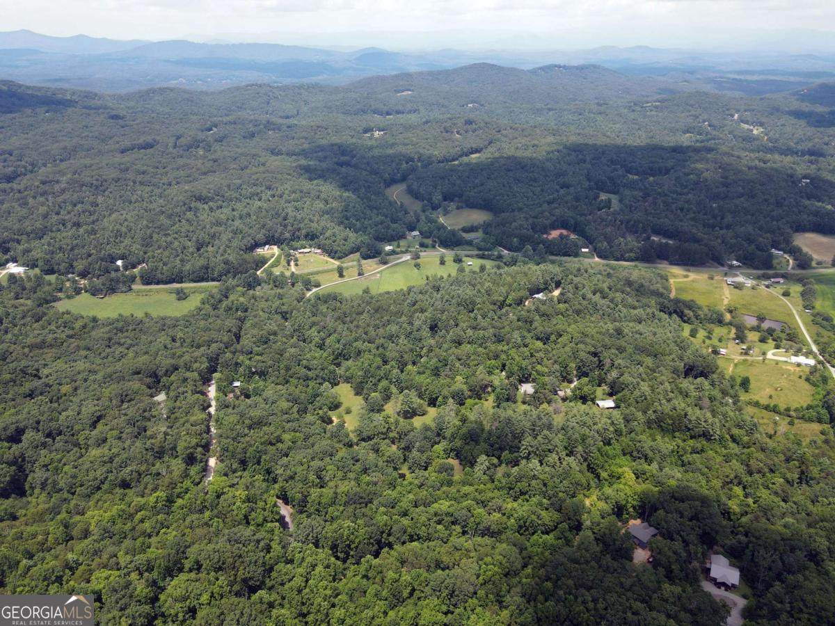 LOT 3 Scouts Overlook Lane - Photo 1
