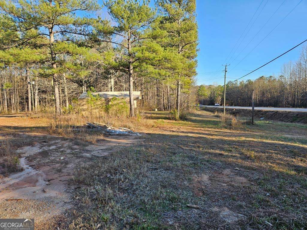 4820 U S Hwy 78 - Photo 1