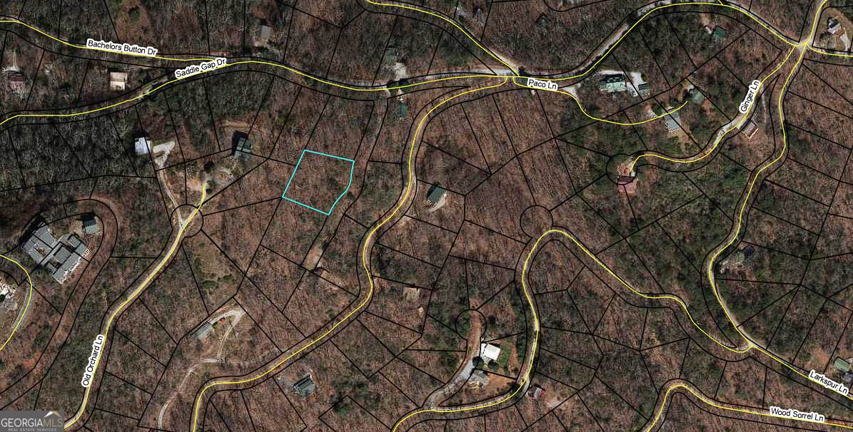 LT 547 Saddle Gap Drive - Photo 1