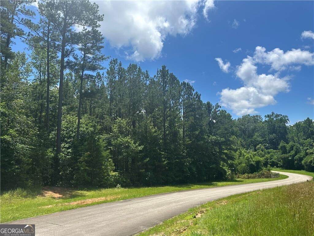 0 Elsberry Mountain Road - Photo 1