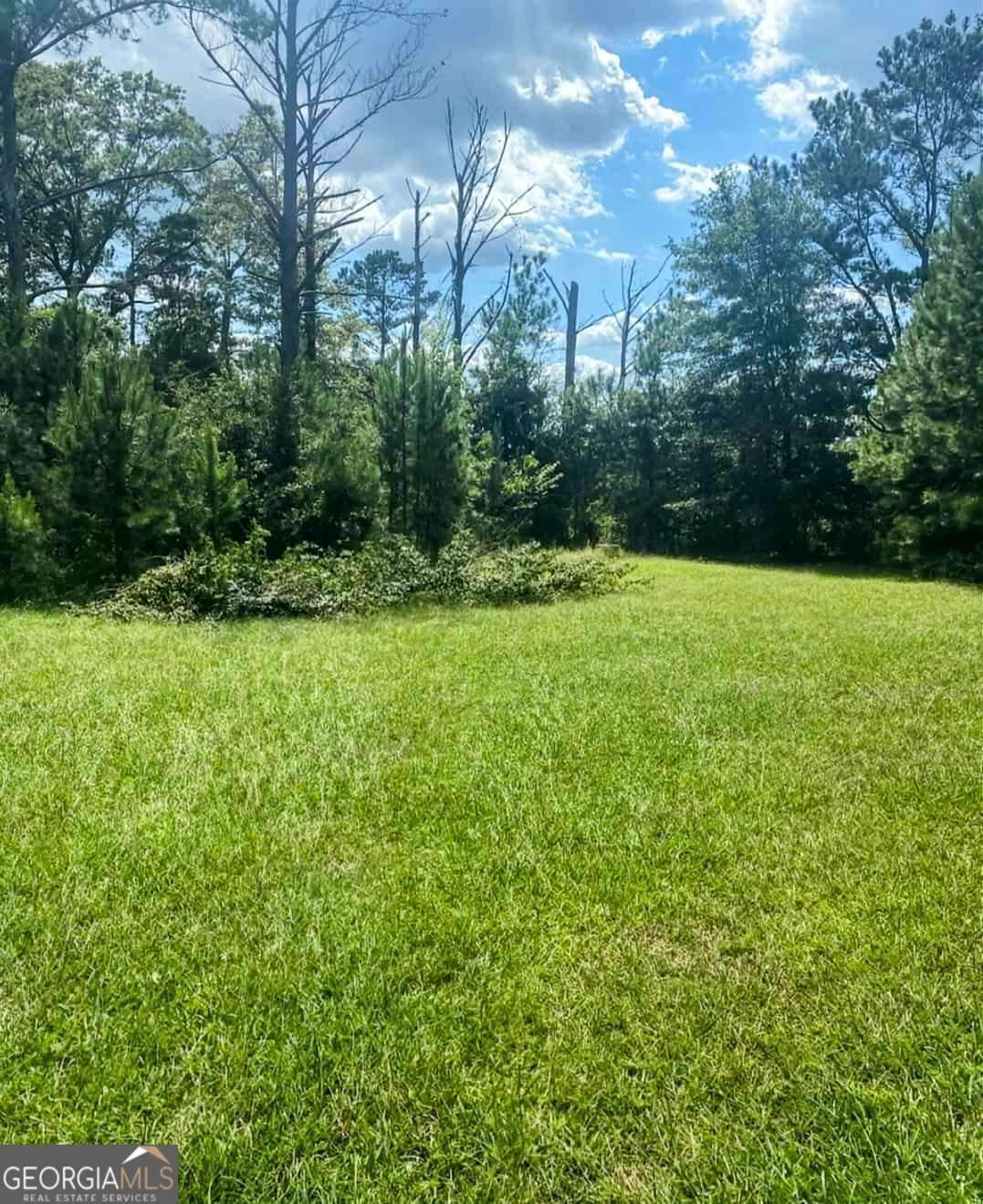 762 Aldridge Road - Photo 1