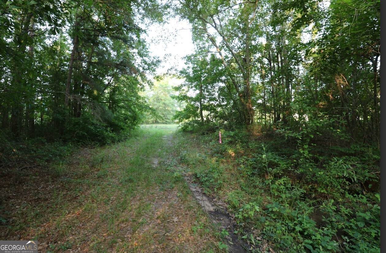0 Kings Mill Road - Photo 1