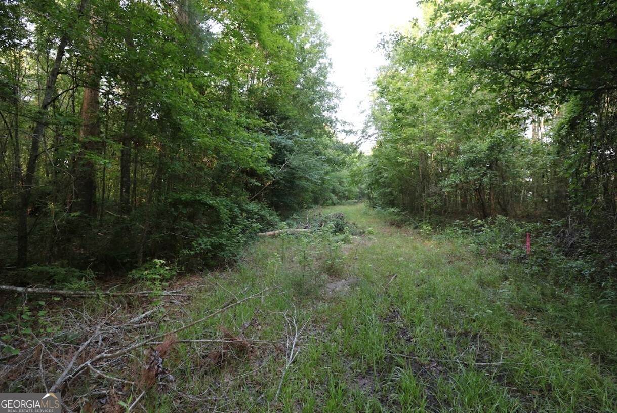 0 Kings Mill Road - Photo 1