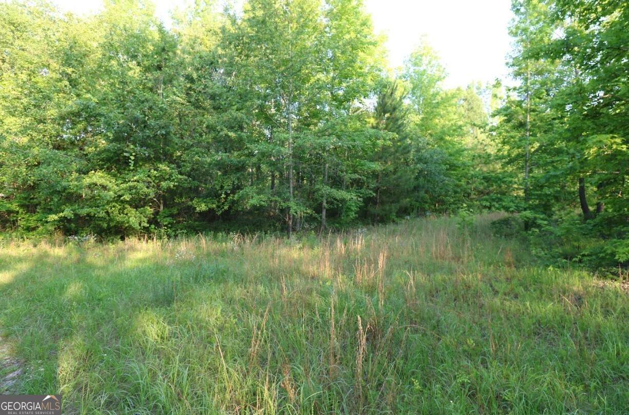 0 Kings Mill Road - Photo 1